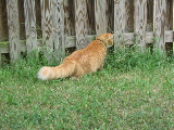 IMG_0019.JPG
