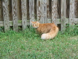 IMG_0020.JPG