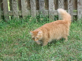 IMG_0021.JPG