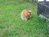 IMG_0023.JPG