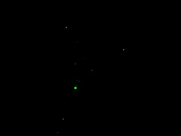 Fracture 451 (Simple Newton).tiff