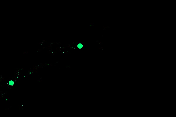 Fracture 307 (Simple Newton).tiff
