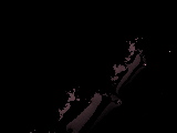 Fracture 329 (Simple Newton).tiff