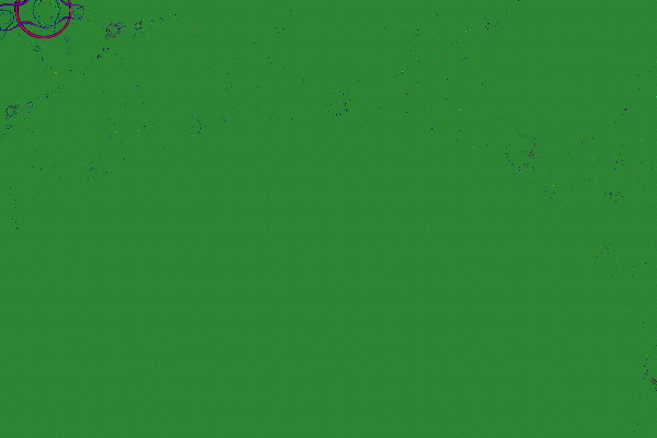 Fracture 873 (Newton).tiff