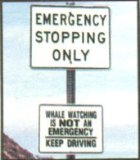 sign-ro3.jpg