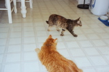 Previous