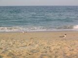 IMG_1244.JPG