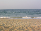 IMG_1245.JPG