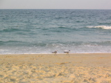 IMG_1246.JPG