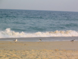 IMG_1248.JPG