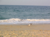 IMG_1249.JPG