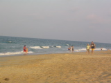 IMG_1250.JPG