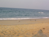 IMG_1251.JPG