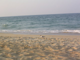 IMG_1252.JPG
