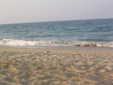 IMG_1253.JPG