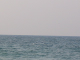 IMG_1235.JPG