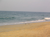 IMG_1254.JPG