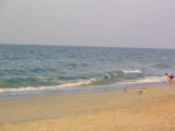 IMG_1255.JPG