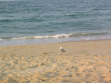 IMG_1258.JPG
