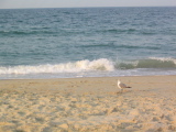 IMG_1261.JPG