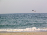 IMG_1263.JPG