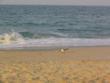 IMG_1240.JPG