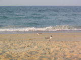 IMG_1243.JPG