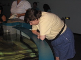 IMG_1185.JPG