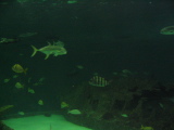 IMG_1202.JPG