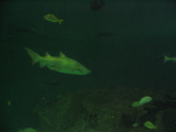 IMG_1205.JPG