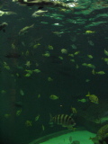 IMG_1206.JPG