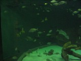IMG_1207.JPG