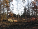 IMG_1979.JPG