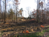 IMG_1980.JPG