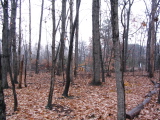 IMG_1982.JPG