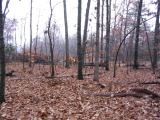 IMG_1983.JPG