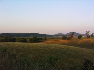 IMG_4087