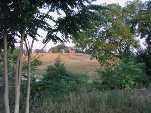IMG_4089