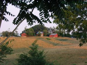 IMG_4090