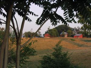 IMG_4091