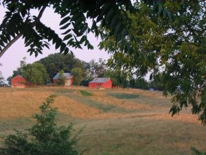 IMG_4092