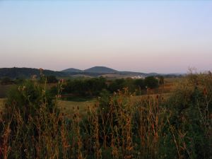 IMG_4078