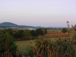 IMG_4079