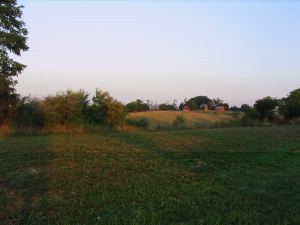 IMG_4082